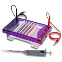 Electrophoresis Systems